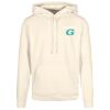 Basic hoodie Thumbnail