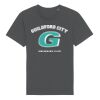 Rocker the essential unisex t-shirt (STTU758) Thumbnail